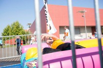 Photos n°66