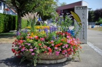 Village-Neuf, village fleuri