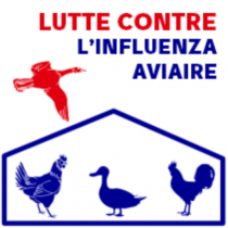 Lutte contre l’influenza aviaire