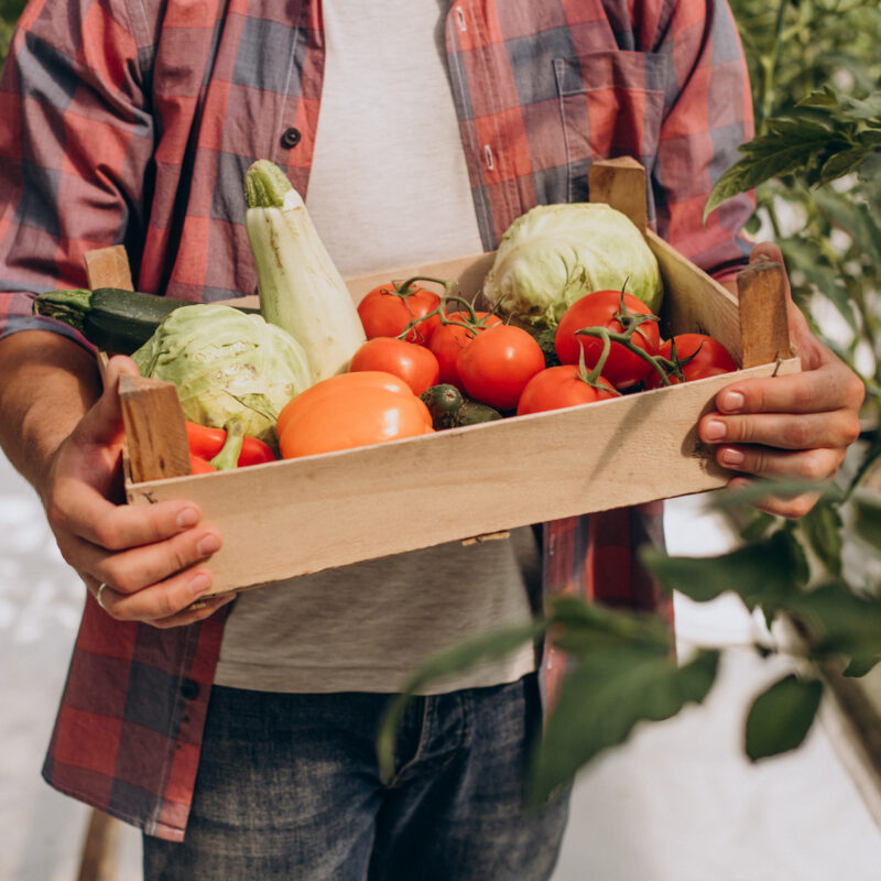 agriculteur et ses légumes