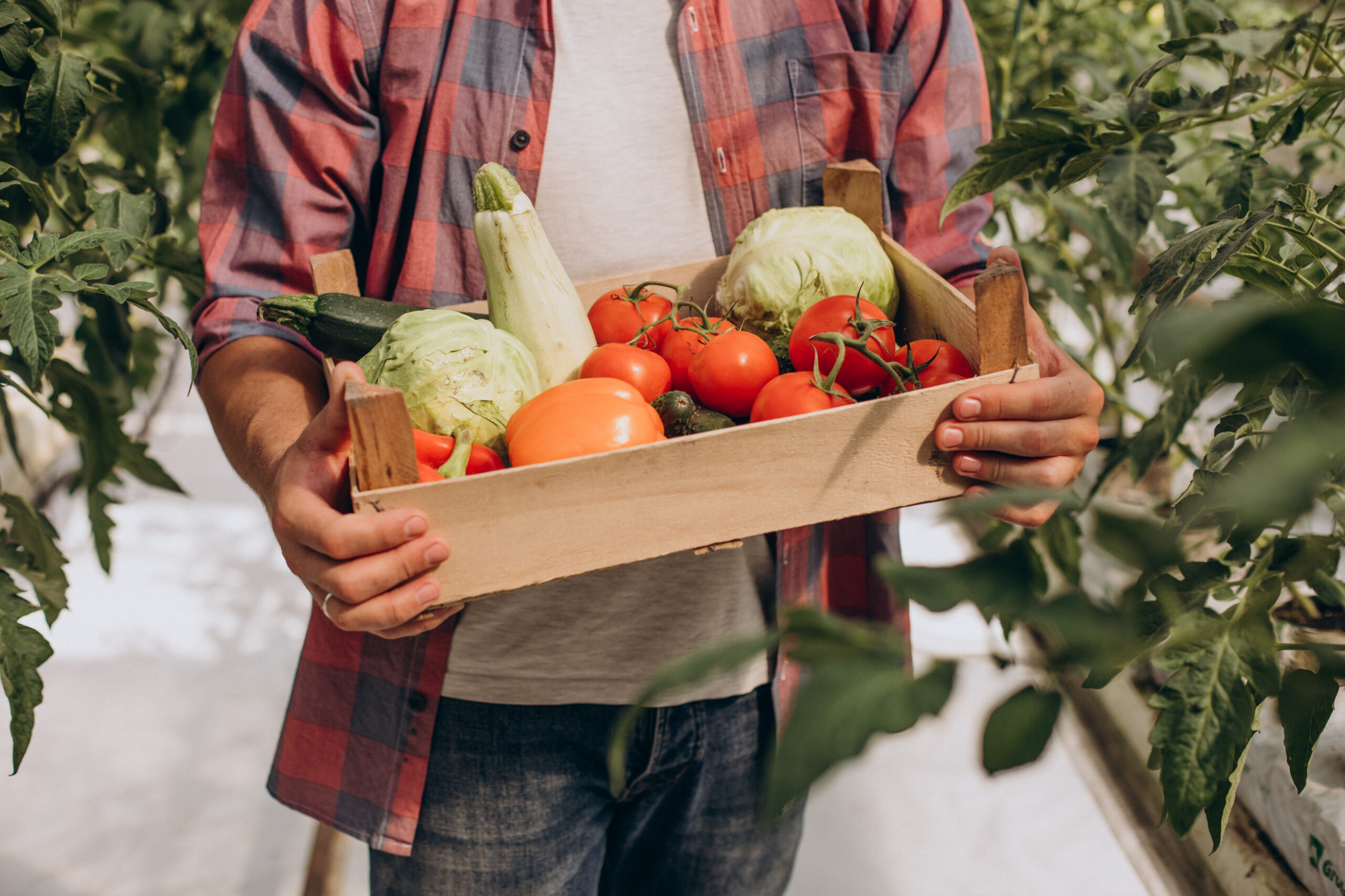 agriculteur et ses légumes