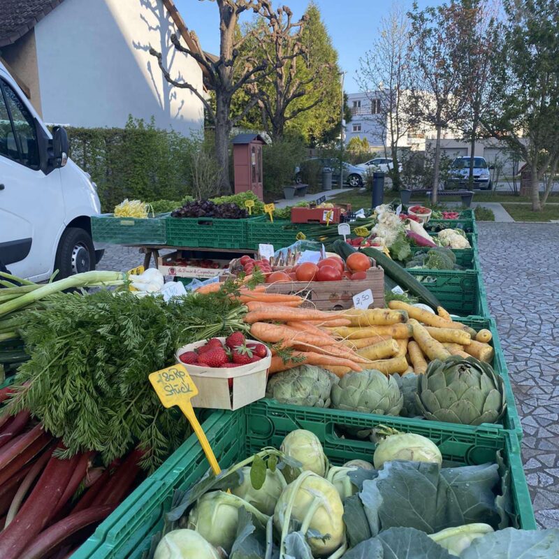 Maraîcher au marché de Village-Neuf