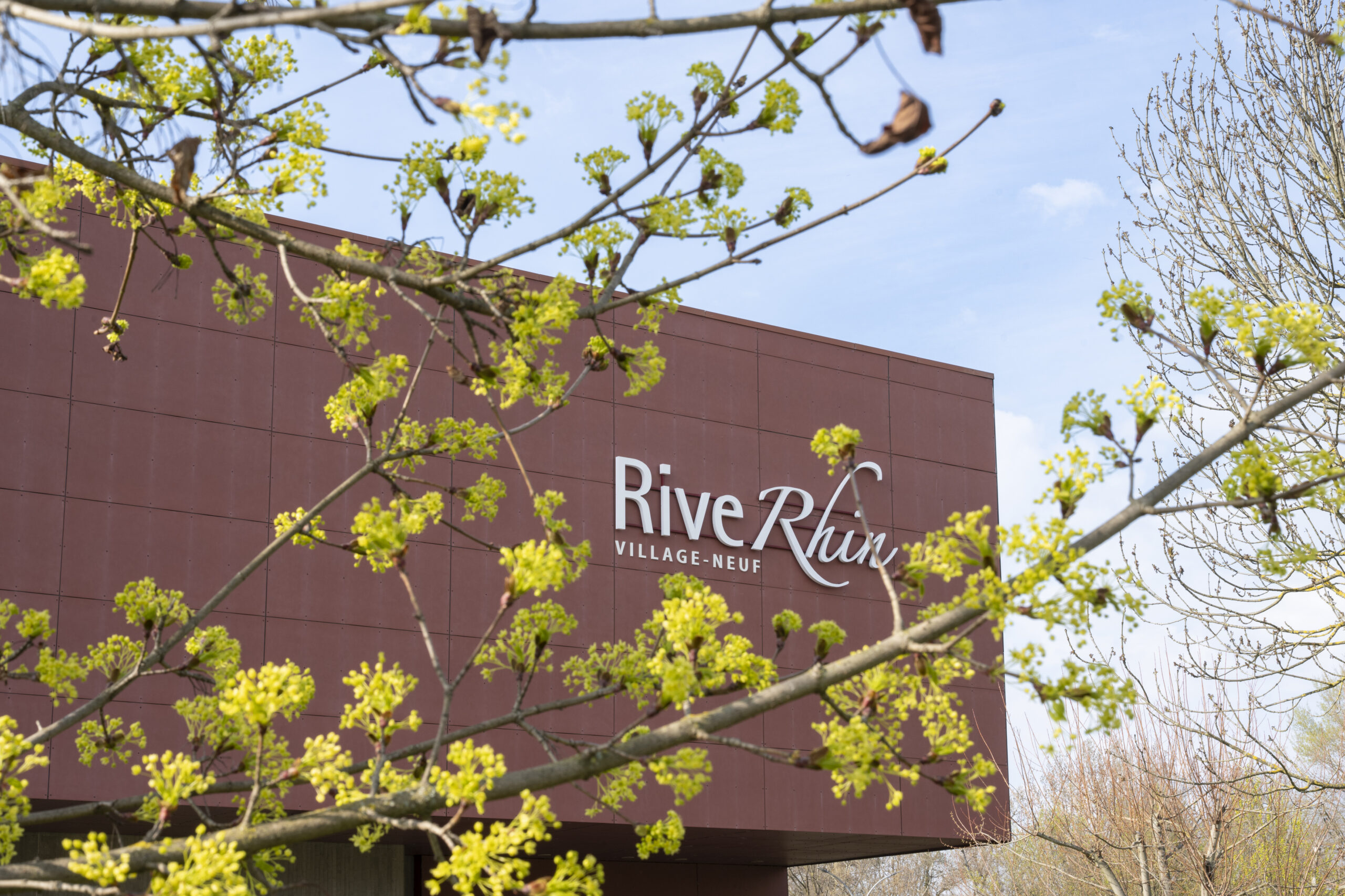 RiveRhin